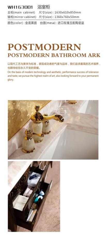 Wh163001(图1)