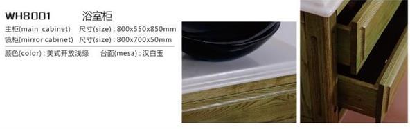 WH8001(图1)