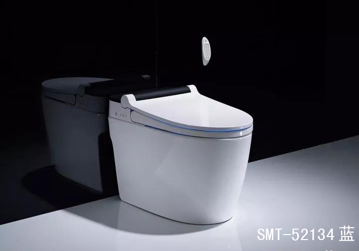 SMT-52134(图1)